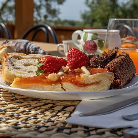 Glamping L'olivo Country Holidays * Campiglia Marittima