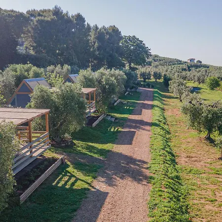 Luxuszelt Glamping L'olivo Country Holidays *