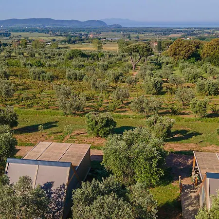 Glamping L'olivo Country Holidays Luxuszelt Campiglia Marittima