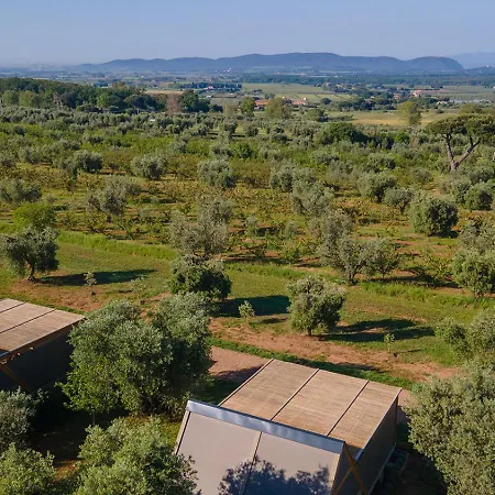 Glamping L'olivo Country Holidays *